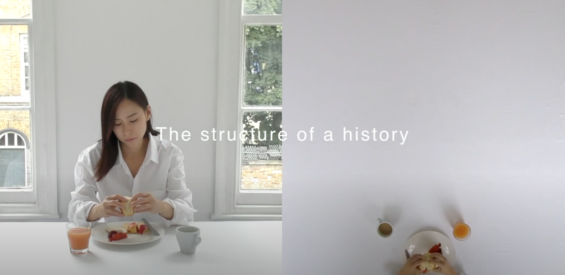 The_Stucture_of_a_history_Day_1